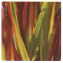 LCN SPA Hydro & Balance Active Ingredient: Cogon Grass (Imperata Cylindrica)